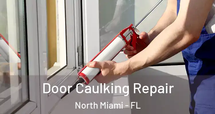  Door Caulking Repair North Miami - FL