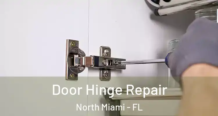  Door Hinge Repair North Miami - FL