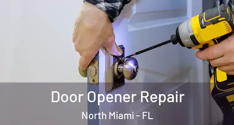  Door Opener Repair North Miami - FL
