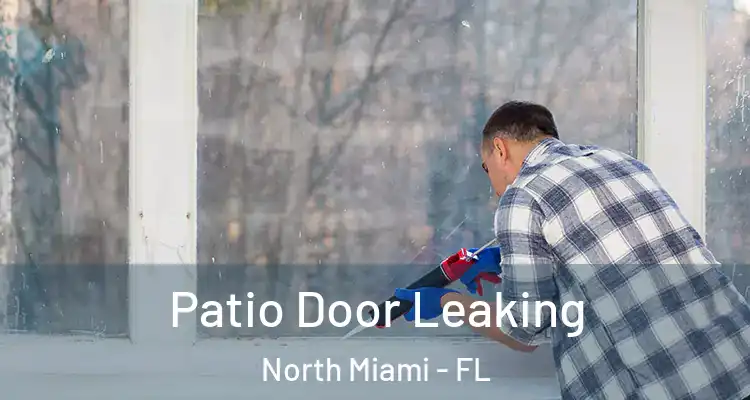  Patio Door Leaking North Miami - FL