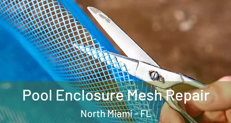  Pool Enclosure Mesh Repair North Miami - FL