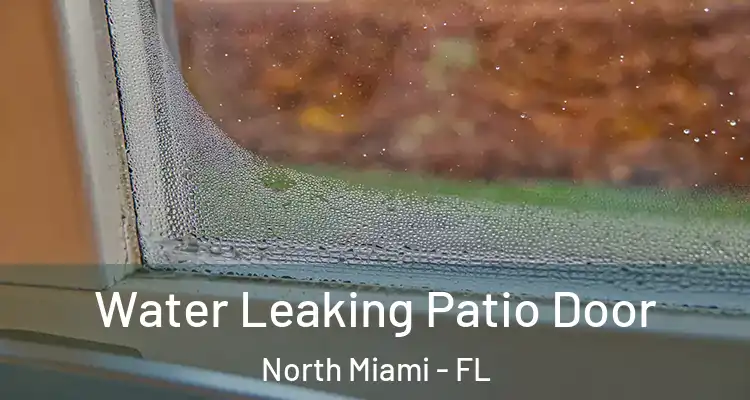  Water Leaking Patio Door North Miami - FL